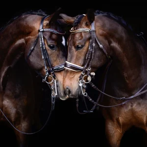 Brothers by Janelle Hachey